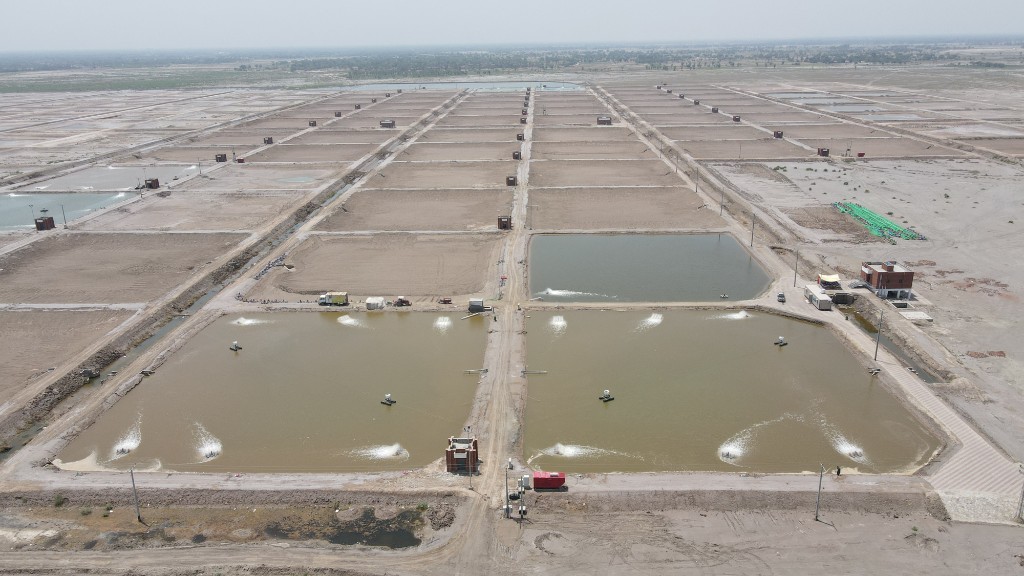 Shrimp pond infrastructure